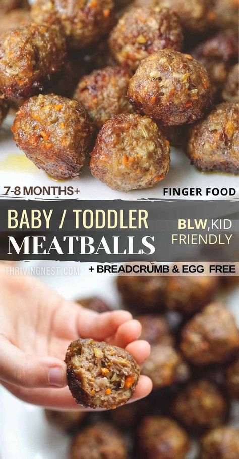 beef meatballs for baby Blw Recipes Dairy Free, Blw Meatballs Beef, Zucchini Tots For Baby, Blw Steak, Egg Free Blw, Blw No Egg, Easy Lunches For 12 Month Old, Baby Meatballs Beef, Top Allergen Free Recipes