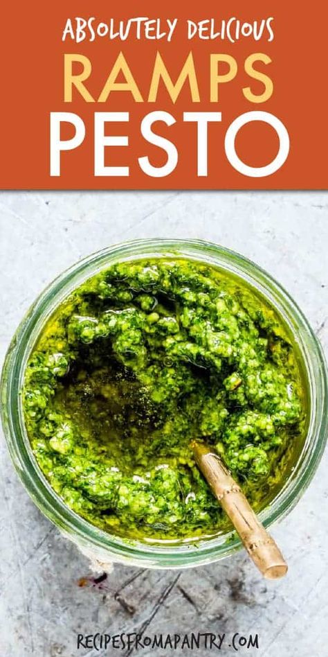 Looking for an awesome Ramps Pesto Recipe? Well, this wild garlic pesto needs only 6 ingredients and your food processor! Freezer friendly, budget savvy, super quick this homemade Ramsons Pesto is just what you need. #wildgarlicpesto #wildgarlicpestorecipe #pesto #pestorecipe #rampspesto #ransomespesto #wildgarlic #wildgarlicrecipes Garlic Pesto Recipe, Grilled Vegetable Sandwich, Ramp Pesto, Easy Easter Dinner, Gluten Free Pesto, Wild Garlic Pesto, Dash Recipe, Easy Easter Recipes, Garlic Pesto