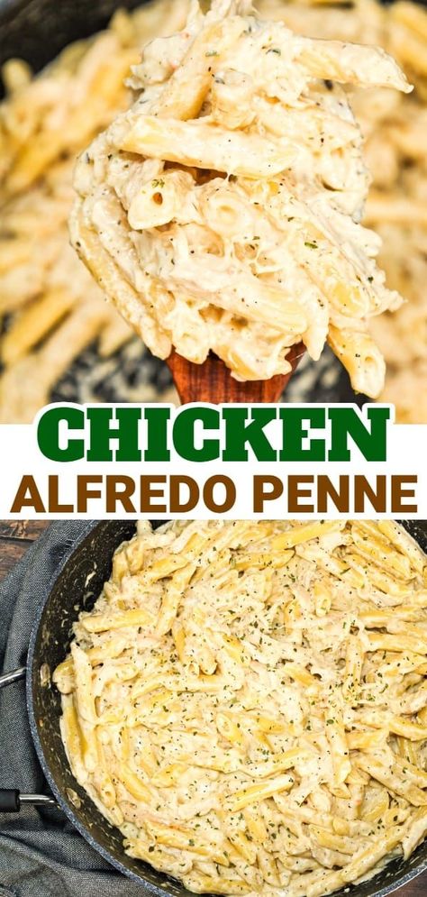 Chicken Alfredo Penne is an easy stove top pasta recipe loaded with shredded rotisserie chicken all tossed in a creamy garlic parmesan sauce. Shredded Chicken Alfredo Pasta, Chicken Alfredo With Rotisserie Chicken, Simple Stove Top Meals, Chicken Alfredo Penne Pasta, Fetuccini Alfredo, Simple Chicken Alfredo Recipe, Garlic Parmesan Chicken Pasta, Homemade Chicken Alfredo, Alfredo Recipes