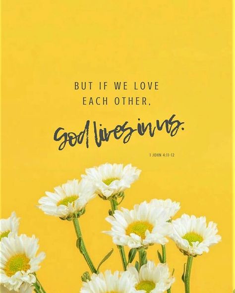 Let's learn to love so much that we don't feel the need to forgive Love Scriptures, Wallpaper Bible, Bible Quotes Wallpaper, Ayat Alkitab, Inspirational Bible Quotes, Bible Verse Wallpaper, Love Each Other, Inspirational Bible Verses, Favorite Bible Verses