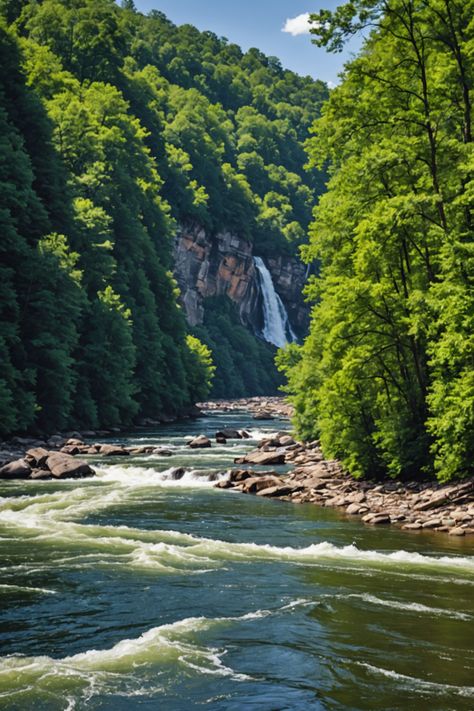 Fun on the River: Exploring the Chattahoochee’s Outdoor Activities River Activities, River Aesthetic, Chattahoochee River, Activities For All Ages, Water Day, Whitewater Rafting, Georgia Usa, Beautiful Places On Earth, Outdoor Lover