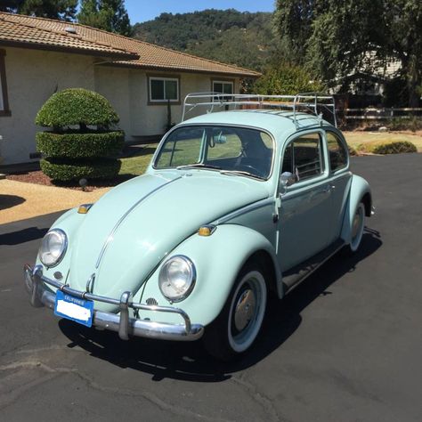 Daylight Savings, Bahama Blue, Storing Paint, Daylight Savings Time, Rings Cool, Vw Beetles, Beetles, Blue Paint, Classified Ads