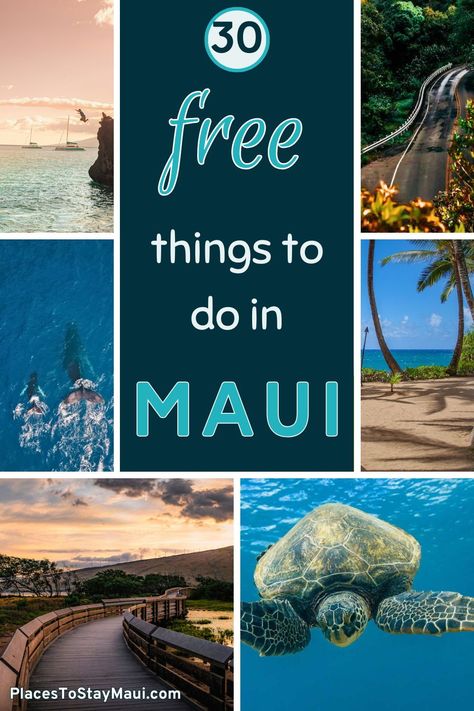 The ULTIMATE guide to the best free activities in Maui! From exploring stunning beaches to hiking scenic trails, there's no shortage of budget-friendly adventures awaiting you on the island. Plan your perfect Maui getaway without breaking the bank with this comprehensive guide of FREE things to do in Maui.
| Maui Hawaii | Family Trip To Maui, Best Beaches In Maui Hawaii, Best Maui Excursions, Free Things To Do In Maui, Best Things To Do In Maui Hawaii, Top Things To Do In Maui, Maui Must Do Activities, Maui In December, Iao Valley Maui