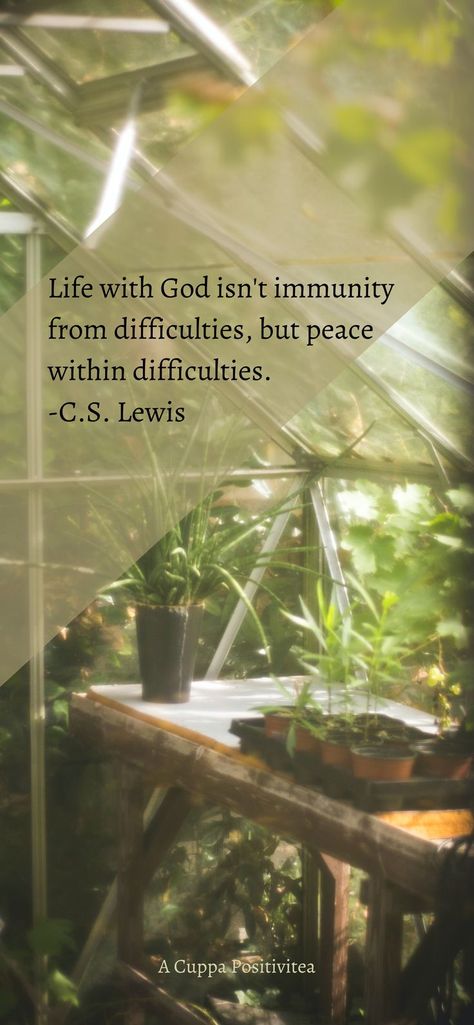 Quotes Phone Wallpaper, Aesthetic Scripture, Missionary Quotes, Lewis Quotes, Choose Quotes, Scripture Wallpaper, Cs Lewis Quotes, Bible Verse Background, God Is Amazing