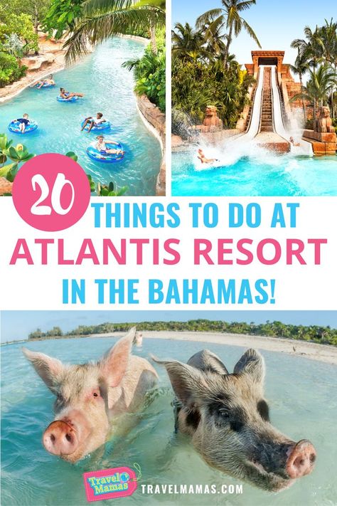 10 Things to Do at Atlantis Resort in The Bahamas! Bahamas Family Vacation, Atlantis Resort Bahamas, Atlantis Resort, Bahamas Honeymoon, Bahamas Resorts, Paradise Island Bahamas, Atlantis Bahamas, Bahamas Travel, Bahamas Vacation