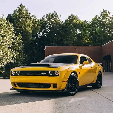 Doge Challenger, Dodge Challenger Hellcat, Stanced Cars, Dodge Srt, Challenger Srt Hellcat, Dodge Challenger Srt Hellcat, Dodge Charger Srt, Charger Srt, Hellcat Challenger