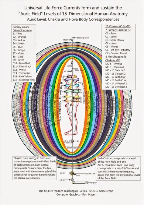 Very insightful Chakra Anatomy, Chakra Centers, Different Realms, Etheric Body, Reiki Symbols, Spirit Science, Chakra System, Energy Medicine, Ancient Knowledge