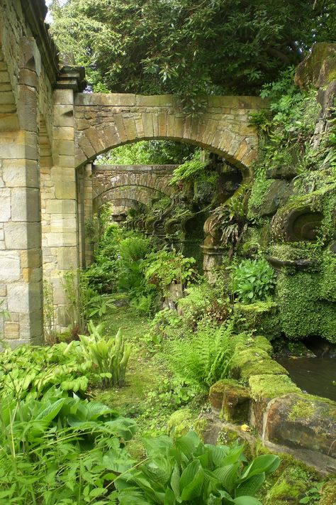 Secret Space Ruin Garden, Garden Follies Ruins, Magical Forest Fantasy Secret Gardens, Overgrown Cave Aesthetic, Real Life Secret Garden, Abandoned Botanical Garden, Garden Games, Gothic Garden, Moss Garden