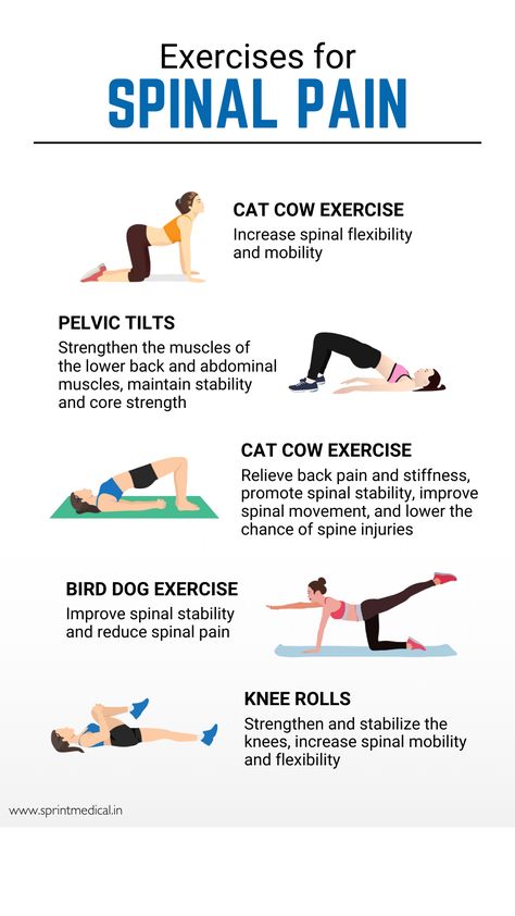 5 Exercises for Spinal Pain Spinal Strengthening Exercises, Physical Therapy Back Exercises, Spinal Extension Exercise, Spine Stretching Exercises, Spinal Canal Stenosis Exercises Exercises, Spinal Decompression Exercises, L5 S1 Pain Relief Exercise, Spinal Canal Stenosis Exercises, Spinal Mobility Exercises