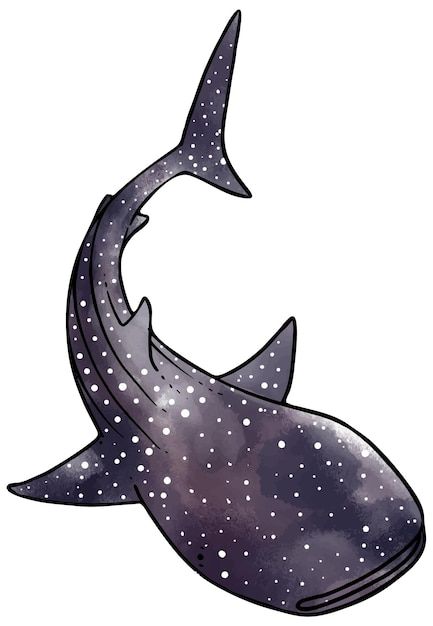 Whale Shark Drawing, Shark Drawing, Fabric Painting On Clothes, Surfboard Art, Animal Graphic, Whale Shark, Vector Hand, Ocean Animals, Art Pages