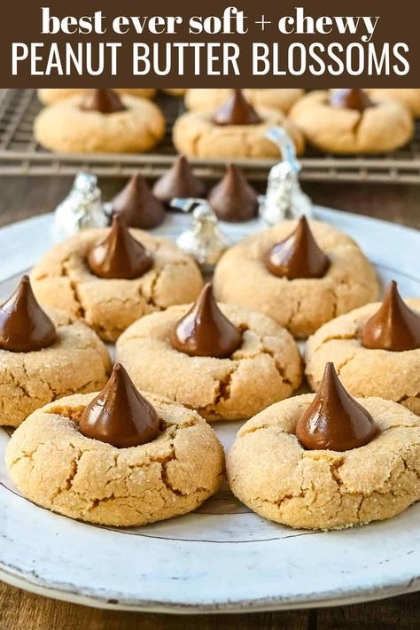 Easy Peanut Butter Blossoms. This popular soft and chewy peanut butter cookie with a Hershey's chocolate kiss in the center is the classic Christmas cookie. This recipe has been in my family for over 60 years and is the best peanut butter blossom recipe. Peanut Blossom Cookies, Peanut Butter Blossoms Recipe, Kiss Cookie Recipe, Peanut Butter Kiss, Peanut Butter Blossom, Peanut Butter Kiss Cookies, Slow Roasted Italian, Peanut Blossoms, Butter Blossoms