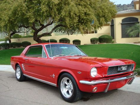 1964 Ford Mustang - Pictures - CarGurus 1964 Mustang, 1964 Ford Mustang, Vintage Ford Mustang, Ford Mustang 1964, Mustang 1964, Auto Ford, 2017 Ford Mustang, Ford Mustang Coupe, Mustang For Sale