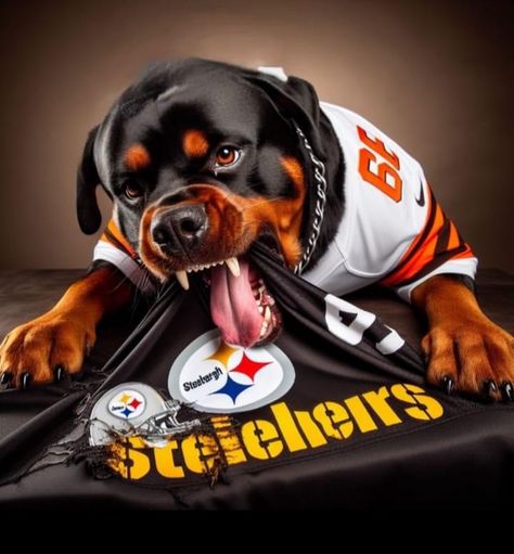 Wallpaper For My Phone, Browns Wallpaper, Cleveland Browns Wallpaper, Browns Memes, Steelers Baby, Go Browns, Clay Matthews, Cleveland Browns Football, Cleveland Rocks