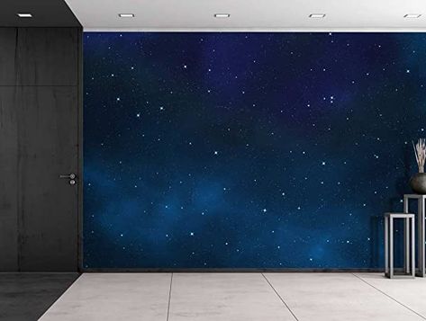 Starry Ceiling, Modern Decorating, Sky Ceiling, Light Blue Paints, Large Wall Murals, Night Sky Painting, Ceiling Murals, Diy Wall Painting, Diy Ceiling