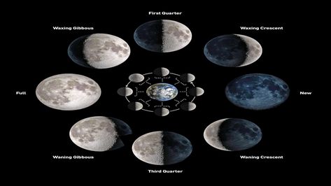 There are eight phases of the Moon, which repeat every 29.5 days. Learn about them here. Moon Stages, Moon Facts, Sturgeon Moon, New Moon Phase, Moon Date, Astrology Calendar, Next Full Moon, Moon Phase Calendar, New Moon Rituals