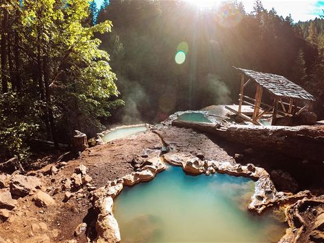 umpqua-hot-springs-oregon San Juan, Oregon Hot Springs, Bagby Hot Springs, California Hot Springs, Umpqua Hot Springs, Mount Hood National Forest, Northern Nevada, Romantic Cabin, Oregon Road Trip