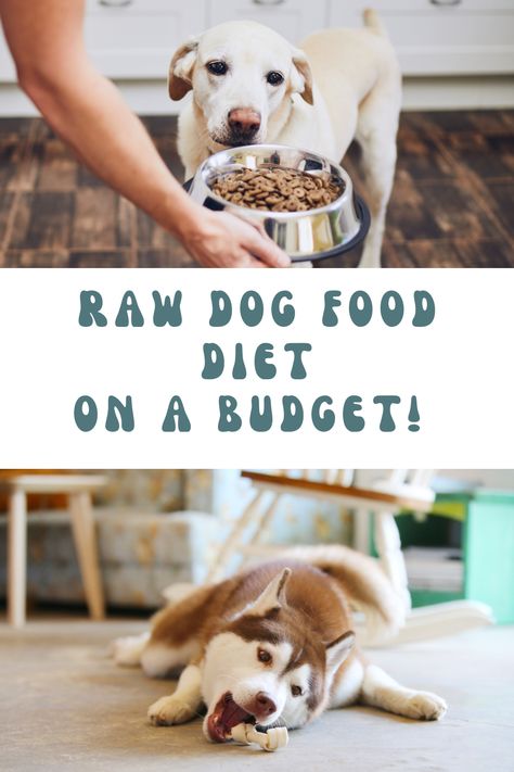 Raw Food For Dogs, Raw Diet For Dogs, Raw Food Diet For Dogs, Dog Raw Diet, Raw Feeding For Dogs, High Protein Dog Food, Raw Dog Food Diet, Raw Dog Food, Food For Dogs