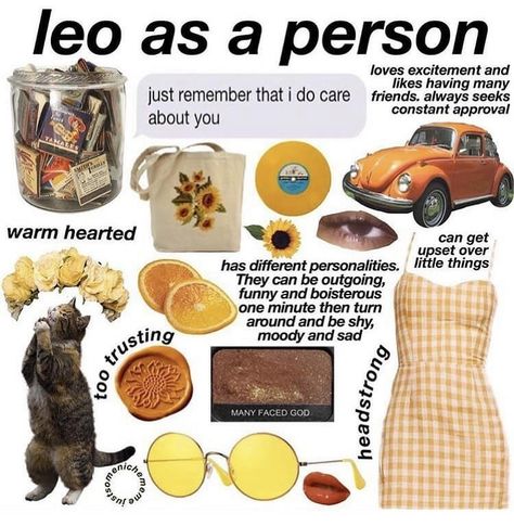 Leo As A Person, August Zodiac Sign, August Leo, Leo Zodiac Quotes, Words To Describe Someone, Leo Quotes, Leo Zodiac Facts, Leo Girl, Astrology Leo