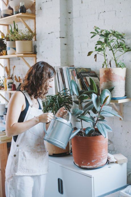 Wall Hanging Plants, Urban Planters, Indoor Oasis, Tattoo Plant, Watering Plants, Blue Planter, Miss Moss, Plants Are Friends, Plant Photography