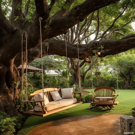 Big Tree In Backyard, Green Backyard Aesthetic, Willow Tree Garden Backyards, House Around Tree, Garden Inspo Ideas, Unique Backyard Ideas, Pretty Backyards, Gorgeous Backyards, Yard Design Ideas