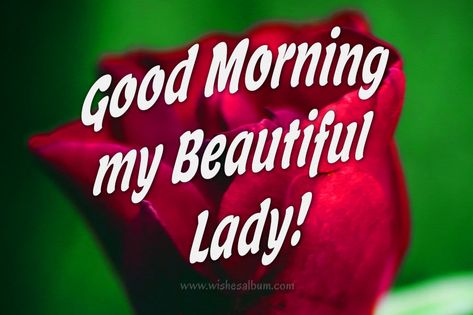 Cute And Romantic Good Morning Messages for Wife Sweet Morning Messages, Good Morning Love Text, Good Morning Handsome Quotes, Morning Message For Her, Morning Message For Him, Romantic Good Morning Quotes, Good Morning Romantic, Romantic Good Morning Messages, Good Morning Handsome