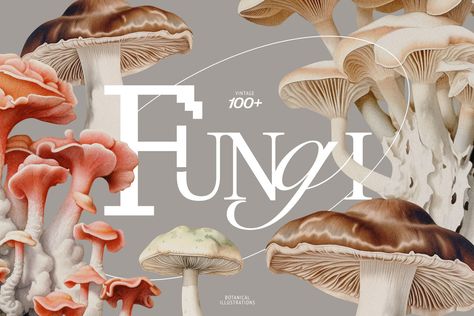 Mushroom Projects, Fungi Illustration, Old Artwork, Speculative Design, Mushroom Poster, Graphic Design Infographic, Botanical Illustration Vintage, Botanical Illustrations, Typeface Design