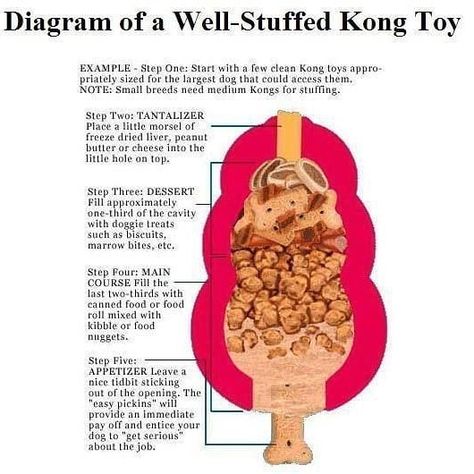 Kongs! Every dog owners best friend! Great bordom buster, slow feeder, and mental stimulator. Here's a great diagram showing how to stuff a Kong with diffetent layers and textures so that it lasts longer and keeps your dog engaged!.There are tons of different Kong recipes you can Google. Scroll for a couple ideas of different things you can use. I like using canned tripe, liver, and chicken feet. Yum! ➡️➡️➡️.Be sure to use a Kong big enough for them to get their tongue inside. Notice the "de