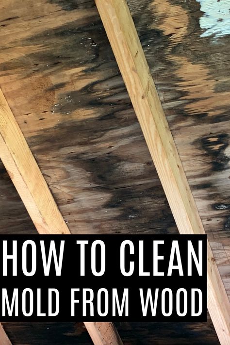 How to clean mold from wood How To Remove Stains From Wood, How To Remove Mold From Wood, Natural Mopping Solution, Removing Mold From Wood, Mold Remover On Wood, Remove Mold From Wood, Remove Mold Stains, Wooden Shelf Unit, Clean Furniture