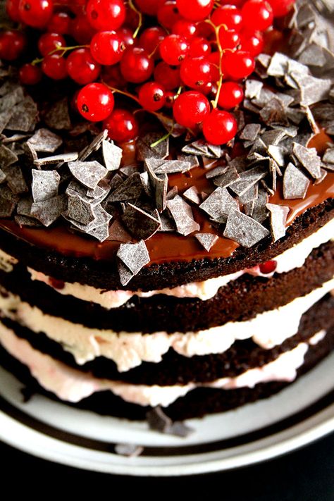 Chocolate Red Currant Mousse Cake – A Cup of Sugar … A Pinch of Salt European Pastries, Chocolate Candy Cake, Red Currants, Bake Something, Unsweetened Cocoa Powder, Candy Cakes, Chocolate Fruit, Cold Cream, Chocolate Sprinkles