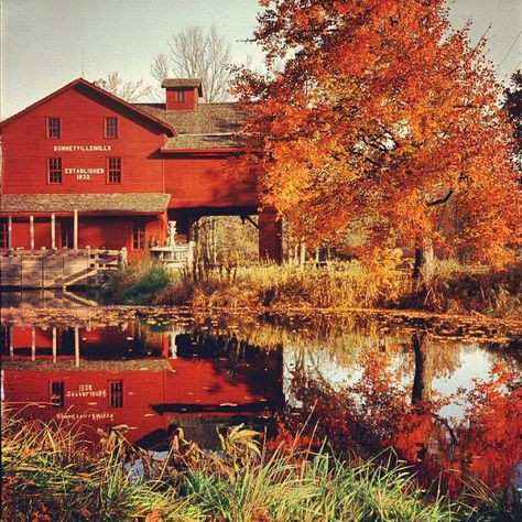 Fall in Indiana <3 Amish Town, Nashville Indiana, Elkhart Indiana, Water Wheels, Indiana Travel, Northern Indiana, Nature Hikes, Autumn Scenes, Amish Country