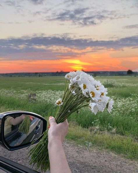 Chasing sunsets all spring long PC: @miss_angel_ann #loveellie Sunset Vibes Aesthetic, Ann Core, Aubrey Core, White Flowers Aesthetic, Pictures Night, Flowers Sunset, Travel Pose, Sunset Vibes, Chasing Sunsets