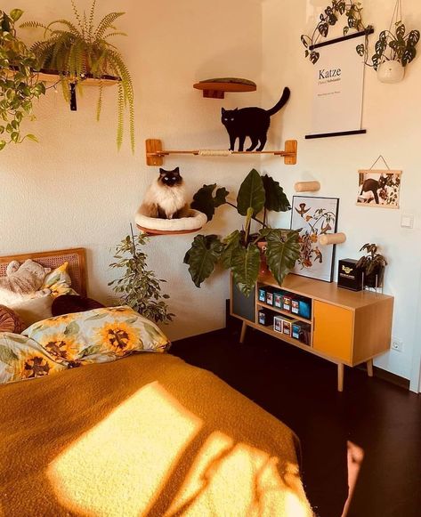 Cat Room Decor, Katt Grejer, Bohemian Living, Cat Decor, Cat Room, Apartment Inspiration, Dream House Decor, Cat Furniture, Decor Entryway