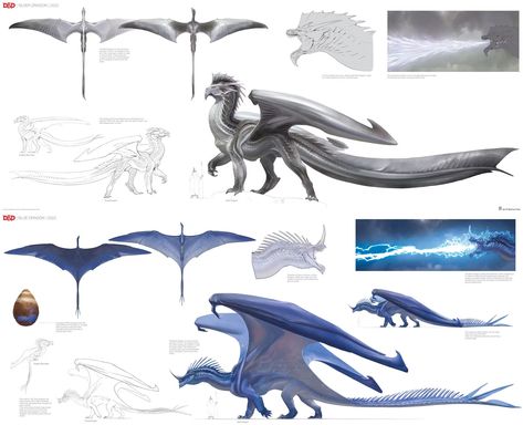 Fantasy Dragon Concept Art, Dragon Ref Sheet, Dragon Design Concept, Blue Dragon Art, Dragon Concept Art, Dragon Ideas, Mythical Creatures Fantasy, Dnd Dragons, Dreamworks Dragons