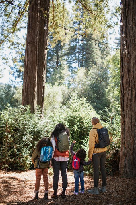 Hiking Pose, Family Camping Photography, Hiking Family, Weekend Creative, Commercial Product Photography, Hiking Pics, Hiking Photos, Family Hiking, Hiking Pictures