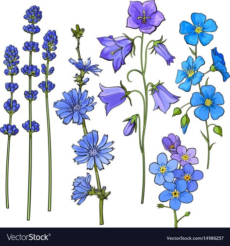 Realistic Hand Drawing, Forget Me Not Tattoo, Wildflower Drawing, March Themes, Blue Bell Flowers, Flower Sketches, Sketch Style, Meadow Flowers, Graphic Tshirt Design