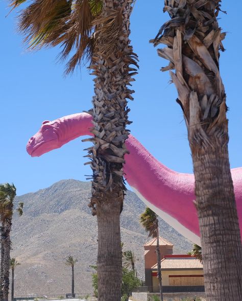 🦖 💕 🦕 Thanks for showing our Dino obsessed baby a great time @Cabazon dinosaurs Cabazon Dinosaurs, June 17, Show Us, Dinosaurs, Chelsea, On Instagram, Quick Saves, Instagram, Chelsea Fc