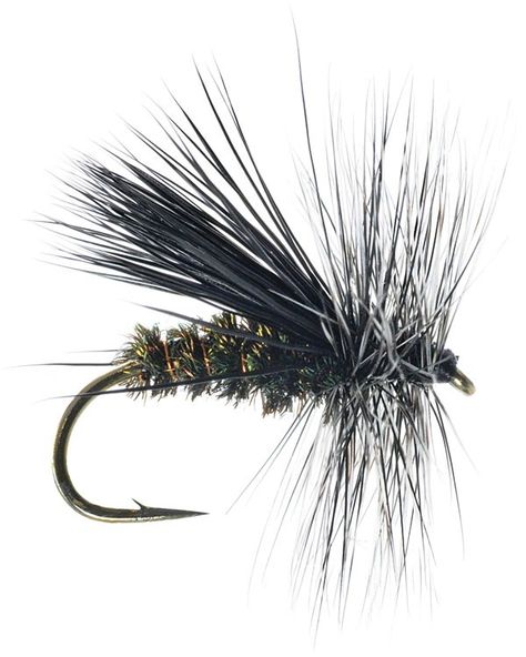 Duranglers Caddis                                                       … Caddis Fly, Fly Craft, Caddis Flies, Fishing 101, Southwest Colorado, Fly Fishing Lures, Fly Fishing Flies Pattern, Trout Flies, Fly Fishing Tips