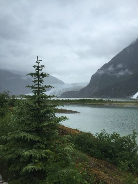 Juneau Alaska Photography, Juneau Alaska Aesthetic, Otters In Love, Alaskan Landscape, Alaskan Mountains, Alaskan Summer, Alaskan Wildlife, Moving To Alaska, Alaska Photography