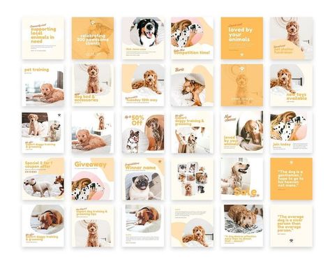 Jobs With Animals, Pet Websites, Pet Branding, Template Social Media, Desain Editorial, Pet Businesses, Instagram Grid, Instagram Branding, Social Media Logos