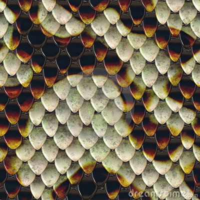 Snake Scales Background Clip Art Drawings, Skin Illustration, Reptile Scales, Snake Reptile, Snake Scales, Texture Inspiration, Snake Design, Pattern Images, Background Texture