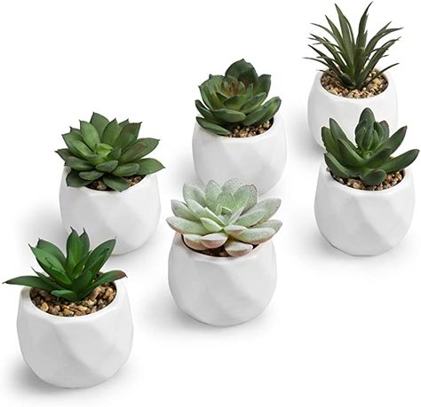 Amazon.com: MyGift Mini Assorted Artificial Succulents in White Ceramic Pots, Set of 6: Home & Kitchen Desk Plants, Fake Succulents, Ceramic Plant Pots, Artificial Succulents, Mini Plants, Faux Succulents, Ceramic Pots, Plastic Pots, Fake Plants