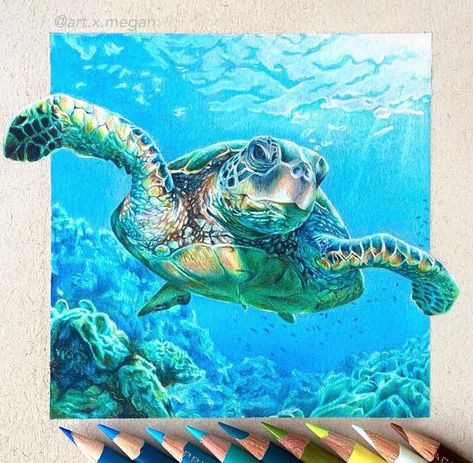 Sea Turtle Art Painting, Sea Turtle Drawing Realistic, Colorful Sea Turtle Painting, Turtle In Water Painting, Cute Turtle Drawings, Sea Turtle Artwork, Turtle Underwater Painting, Sea Turtle Drawing, Turtle In The Ocean Painting