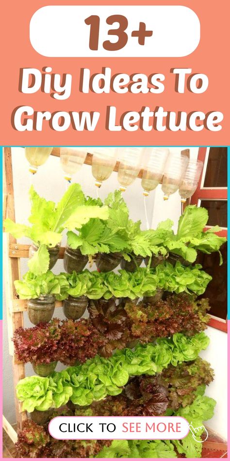 Transform your space into a lettuce paradise with these innovative DIY ideas for growing lettuce right at home. 🥗 Explore vertical lettuce towers, hanging lettuce gardens, or even windowsill planters for a continuous supply of fresh greens. 🌿 Get hands-on with nature and experience the joy of cultivating your own lettuce from seed to plate. #DIYLettuceGarden #UrbanGardening #HealthyLiving Mini Rock Garden, Growing Lettuce Indoors, Grow Lettuce, Seed Sprouter, Fall Landscaping, Mailbox Landscaping, Growing Sweet Potatoes, Indoor Vegetables, Easy Diy Ideas