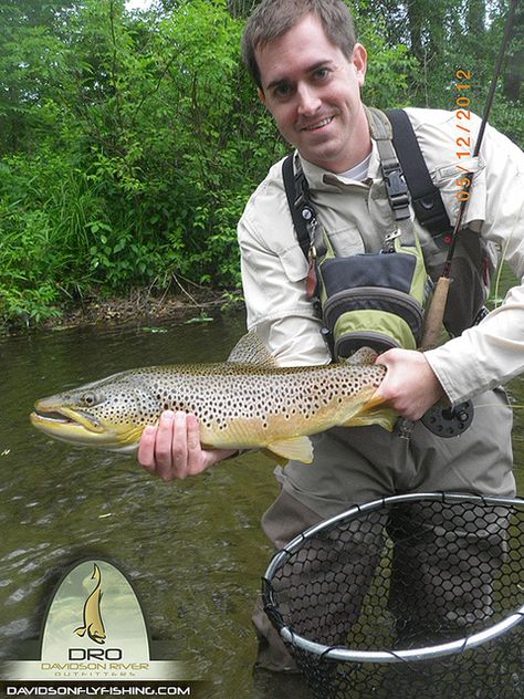 Nice Davidson River Fall Brown Trout - Davidson River Outfitters - Pisgah Forest, NC  #browntrout How To Catch Crappie, Crappie Lures, Crappie Fishing Tips, Truckee River, Pacific Salmon, Fishing Pictures, Crappie Fishing, Salmon Fishing, Brown Trout