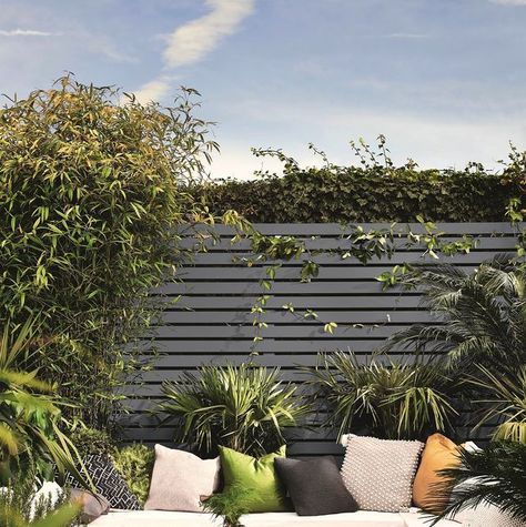 Garden fence paint colours Dark Blue Fence Garden, Dark Grey Fence Paint, Paint Backyard Fence, Woodland Grey Fence, Garden Fence Paint Ideas, Painted Fences Ideas Backyards, Charcoal Fence, Fence Colour Ideas, Painted Garden Fence