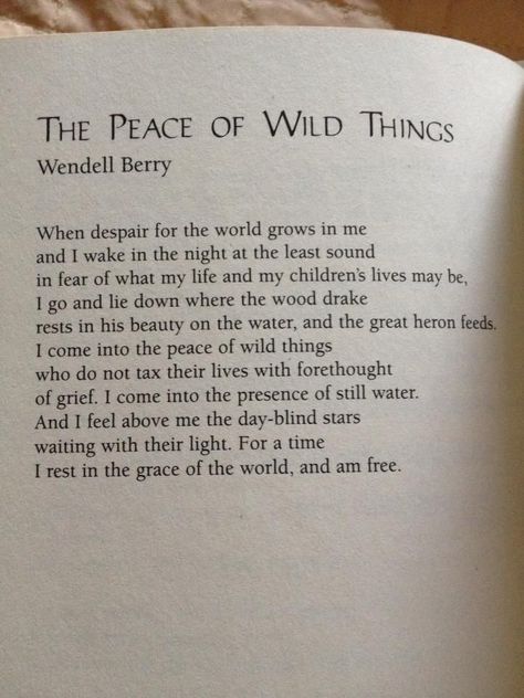 Peace Of Wild Things, Citation Nature, Wendell Berry, Into The Wild, Poem Quotes, Wild Things, Nature Quotes, The Peace, Wonderful Words