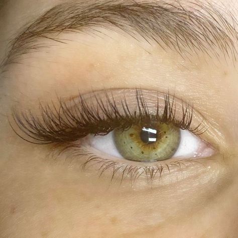 Natural Fake Eyelashes, Evening Eye Makeup, Lashes Fake Eyelashes, Perfect Eyelashes, Pretty Lashes, Natural Eyelash Extensions, Eyelash Extentions, Eye Makeup Pictures, Makijaż Smokey Eye