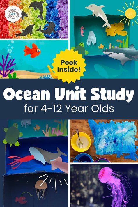 Learn all about the ocean with this amazing unit study! The science and learning is overflowing with this one. Children of all ages will enjoy the hands on activities and deep, engaging learning that takes place as they learn about jellyfish, dolphins, currents, ocean waves, and the various layers of the ocean as well! 3rd Grade Ocean Projects, Under The Sea Elementary Activities, Ocean Layers For Kids, Marine Science Activities, Layers Of The Ocean Craft, Ocean Crafts Elementary School, Layers Of The Ocean Project, Ocean Lessons For Kindergarten, Ocean Exploration Activities