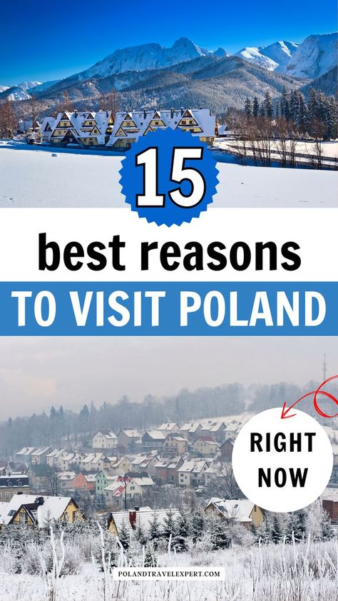 Why should Poland be your next destination? This vibrant country offers the best cities to visit in Poland, stunning places to visit in Warsaw Poland, and countless must-visit places in Poland. Whether you’re seeking cultural experiences, historic landmarks, or local flavors, this guide highlights top places to visit in Poland. Visit Poland, Cities To Visit, Stunning Architecture, Poland Travel, Warsaw Poland, Cultural Experience, Best Cities, Warsaw, Historical Sites