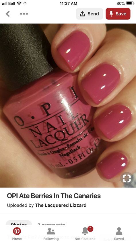 Opi Medi Take It All In, Best Pedicure Colors, Nextgen Nails, Opi Nail Polish Colors, Pleated Wide Leg Pants, Opi Nail Colors, Nails Colors, Opi Nail Polish, Polish Colors